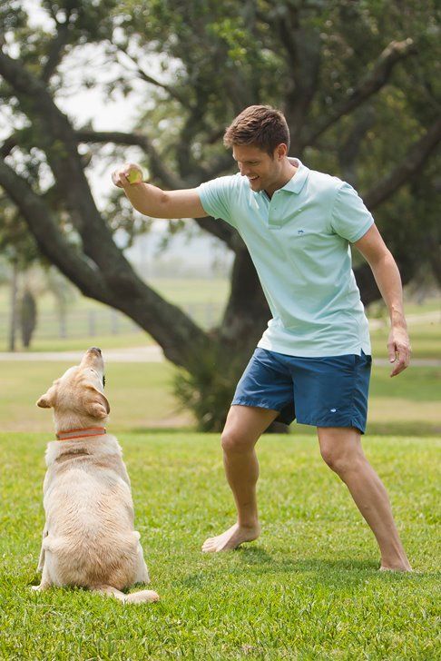 5 Essential Items Every New Pet Owner Needs