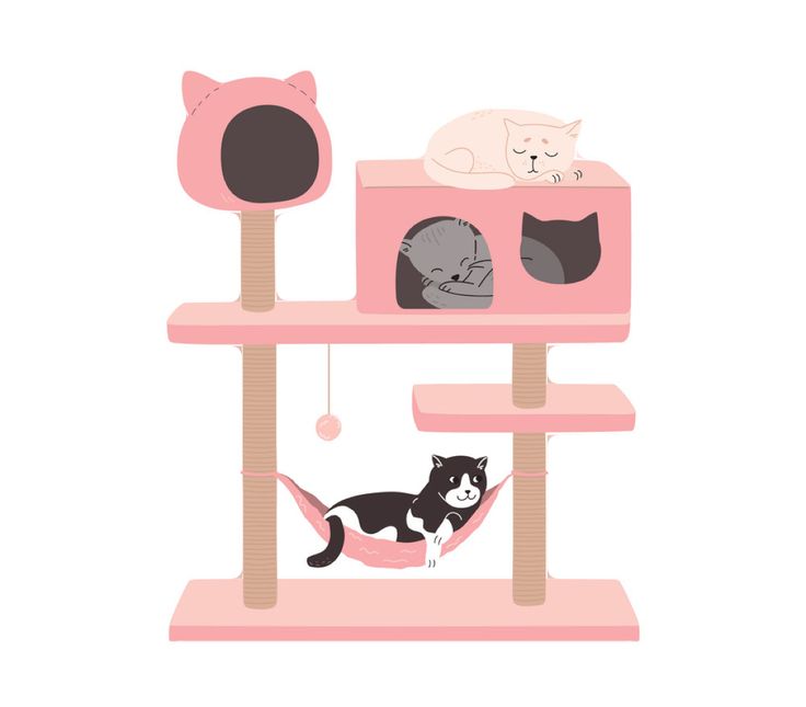 Cat Corner