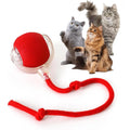 Pet Toy Ball with Tail Rope，Smart Automatic Pet Chase Ball Toy, Upgraded Speedy Tail Kitten Toy for Bored Indoor Adult Pets