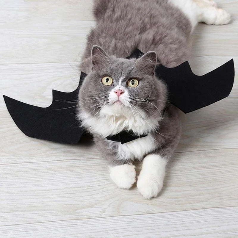 2026 Halloween Cute Pet Clothes Black Bat Wings Harness Costume Halloween Cosplay Cat Dog Halloween Party For Pet Supplies