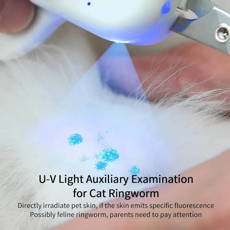 nail supplies Pet Nail Clipper LED UV Light Ultra Bright Sharp Angled Blade Bloodline Protection for Cats Rabbits Small Animals