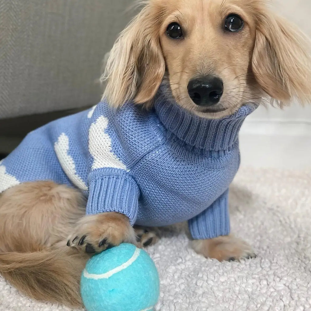 Clothes for Wiener Dog Plush Wool Coat Warm Sweater for Badger Dog Clothing Winter Outwear for Dachshund Small Dogs Pet products