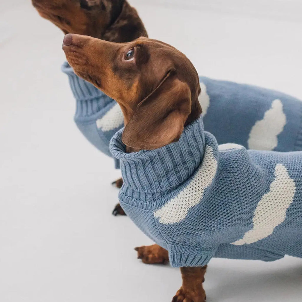 Clothes for Wiener Dog Plush Wool Coat Warm Sweater for Badger Dog Clothing Winter Outwear for Dachshund Small Dogs Pet products