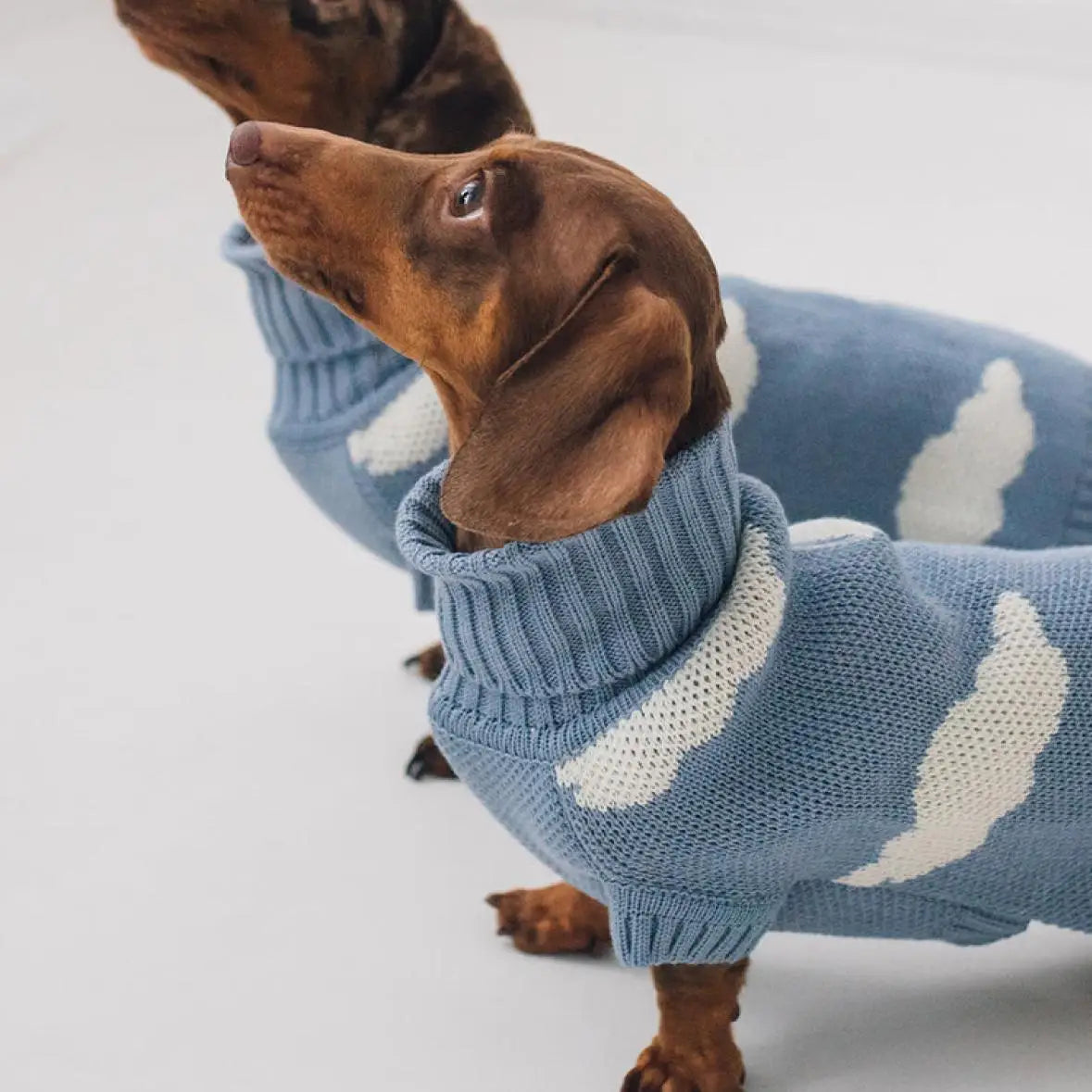 Clothes for Wiener Dog Plush Wool Coat Warm Sweater for Badger Dog Clothing Winter Outwear for Dachshund Small Dogs Pet products