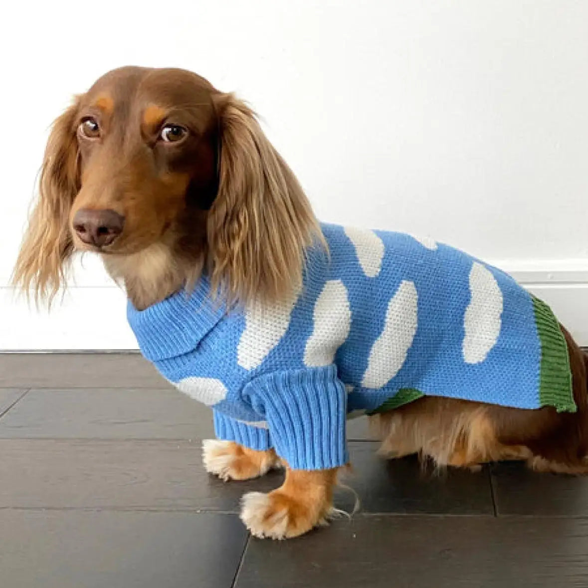 Clothes for Wiener Dog Plush Wool Coat Warm Sweater for Badger Dog Clothing Winter Outwear for Dachshund Small Dogs Pet products