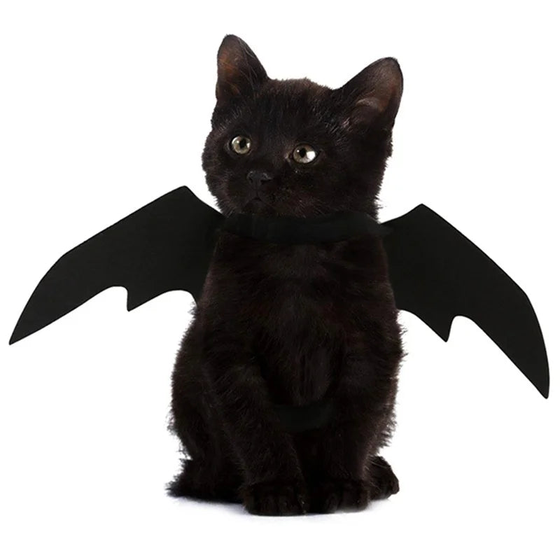 2026 Halloween Cute Pet Clothes Black Bat Wings Harness Costume Halloween Cosplay Cat Dog Halloween Party For Pet Supplies