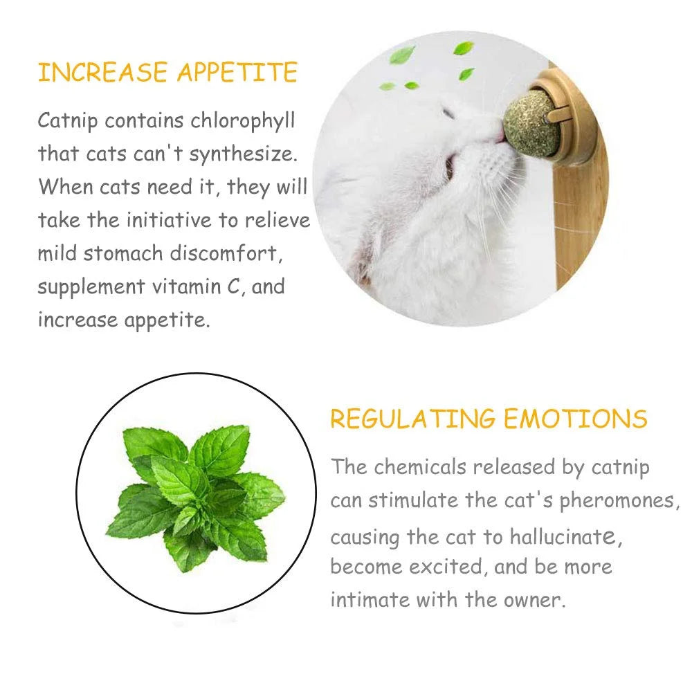 2-6PCS Cat Mint Toy Rotating Cat Mint Ball Baby Cat Snacks Cat Grass Plant Hair Transformation Cat Pet Products Catni