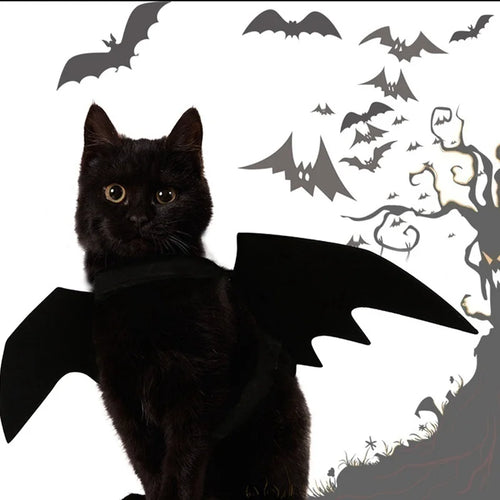 2026 Halloween Cute Pet Clothes Black Bat Wings Harness Costume Halloween Cosplay Cat Dog Halloween Party For Pet Supplies