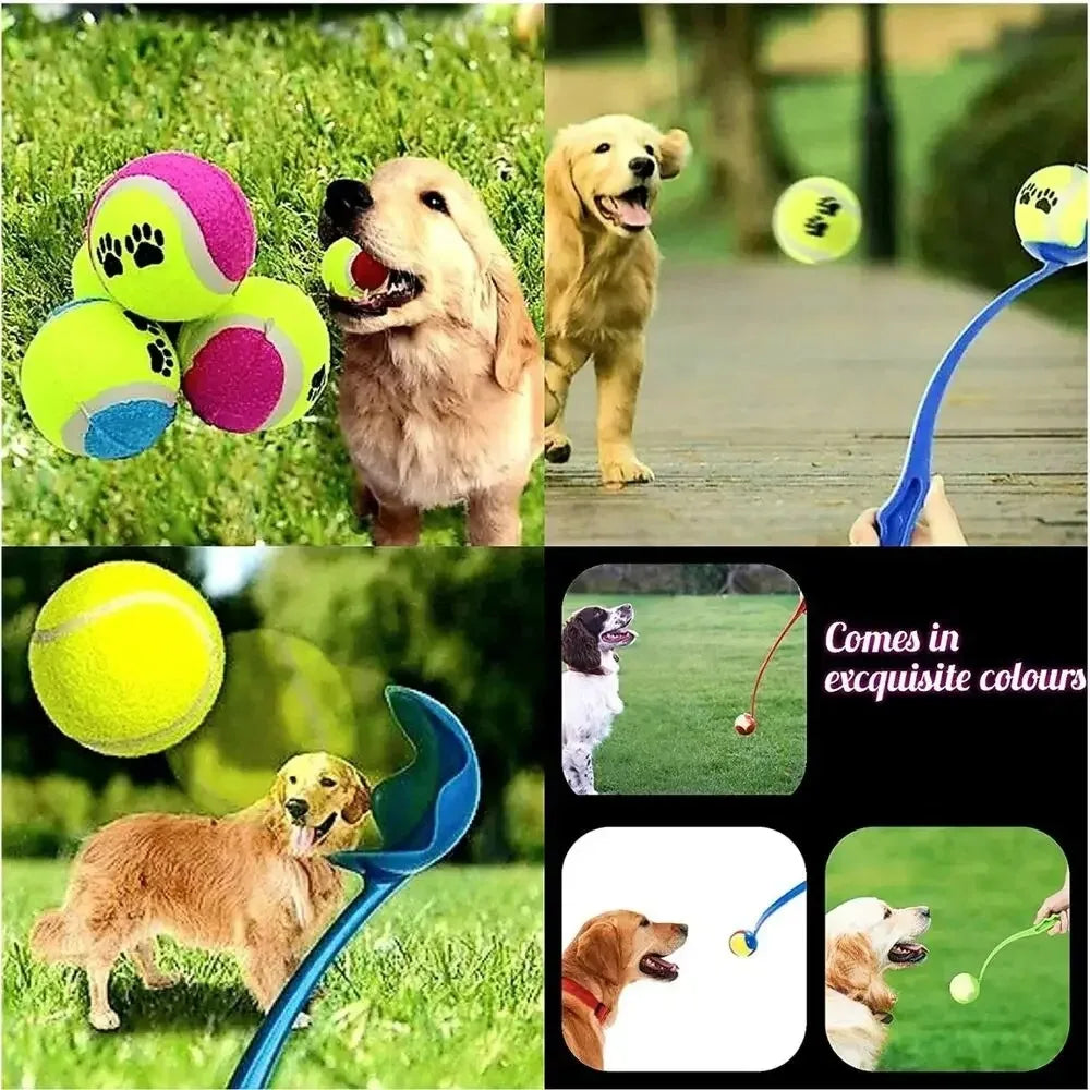 Pet Tennis Ball Launcher Set Outdoor Dog Training Toy Fetch Play Durable Ergonomic Handle Interactive Ball Picking Pet Supplies