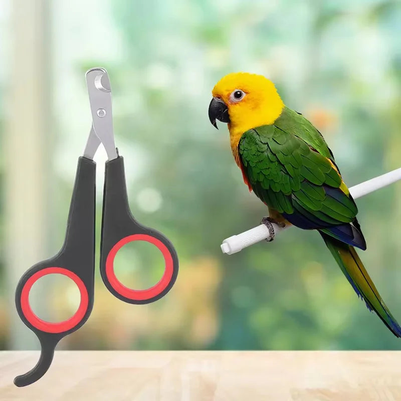 Pet Nail Claw Grooming Scissors Clippers for Dog Cat Gerbil Small Animals Newest Rabbit Home Portable Pet Products Accessories