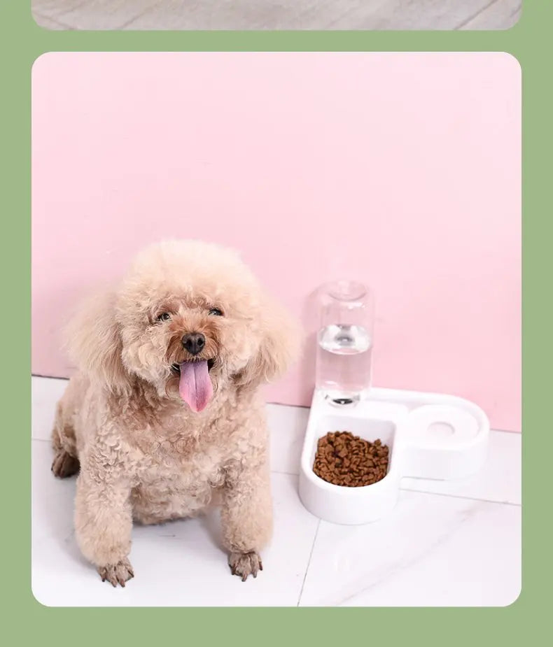Cat feeder, dog and cat basin, equipped with water dispenser bowl, automatic recycling utensil, universal pet products