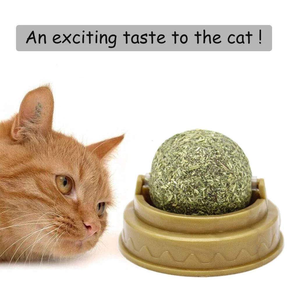 2-6PCS Cat Mint Toy Rotating Cat Mint Ball Baby Cat Snacks Cat Grass Plant Hair Transformation Cat Pet Products Catni