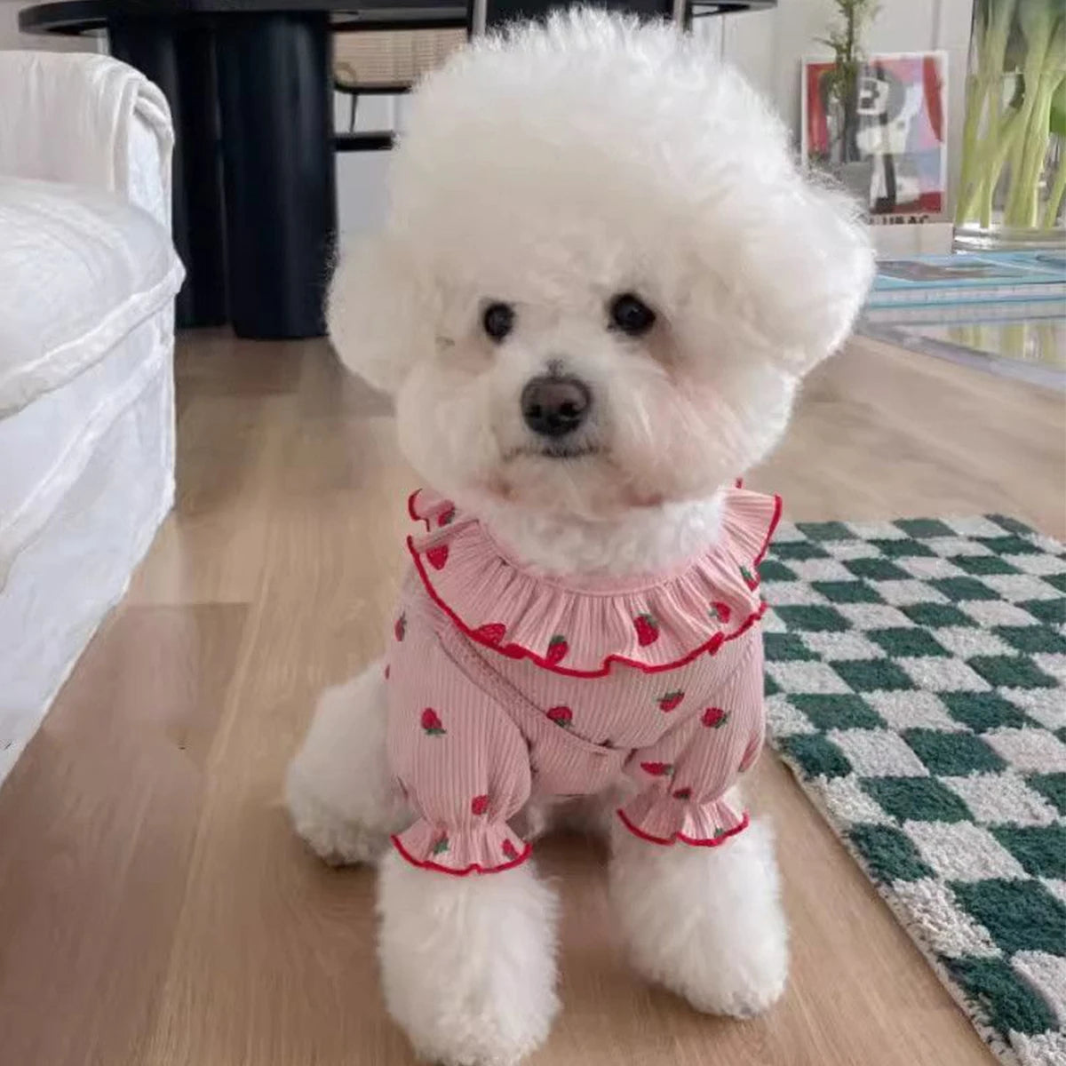 Strawberry Small Dog Clothes Summer Breathable Clothing for Cat Cute Dog Clothing for Small Dog Vest Ruffled Collar Pet Clothes