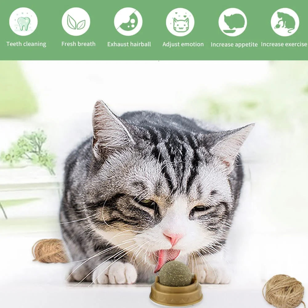 2-6PCS Cat Mint Toy Rotating Cat Mint Ball Baby Cat Snacks Cat Grass Plant Hair Transformation Cat Pet Products Catni
