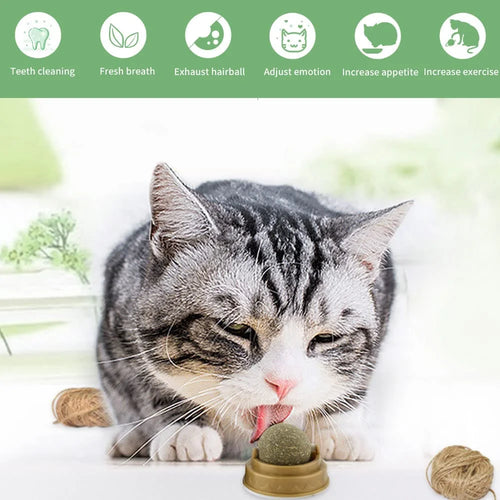 2-6PCS Cat Mint Toy Rotating Cat Mint Ball Baby Cat Snacks Cat Grass Plant Hair Transformation Cat Pet Products Catni