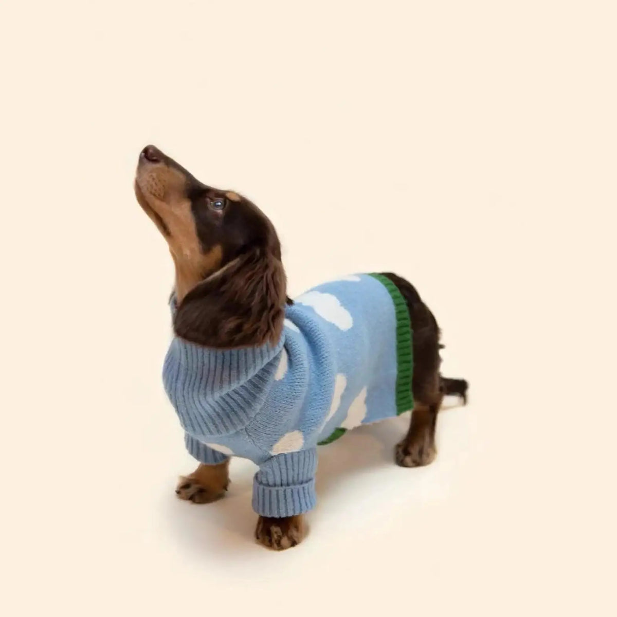 Clothes for Wiener Dog Plush Wool Coat Warm Sweater for Badger Dog Clothing Winter Outwear for Dachshund Small Dogs Pet products