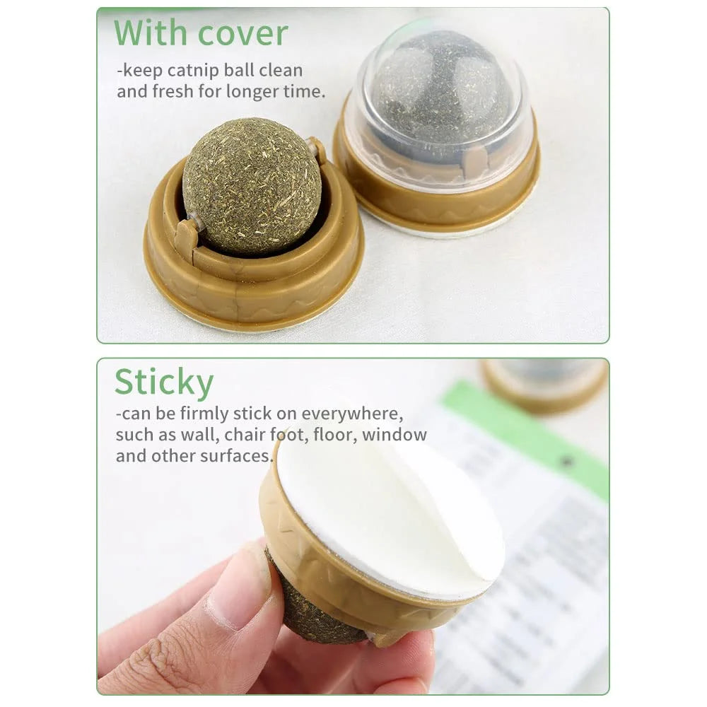 2-6PCS Cat Mint Toy Rotating Cat Mint Ball Baby Cat Snacks Cat Grass Plant Hair Transformation Cat Pet Products Catni