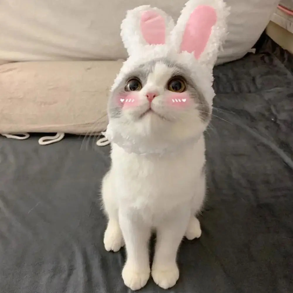 Cat Decorative Pet Products New Warm Cat Head Cover  Clothes Plush Cat Rabbit Hat Pet Ear Hat Accessories Lamb T8T4