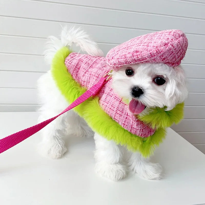 Ins Tweed Cloak Puppy Coat Pet Cloak Pet Supplies Cape Dog Chest Strap Drawstring Cute Beret Dog Harness Dogs Accessories