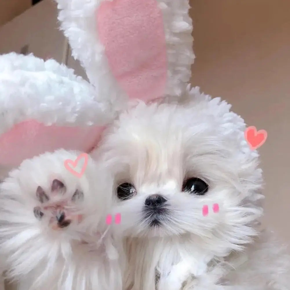 Cat Decorative Pet Products New Warm Cat Head Cover  Clothes Plush Cat Rabbit Hat Pet Ear Hat Accessories Lamb T8T4