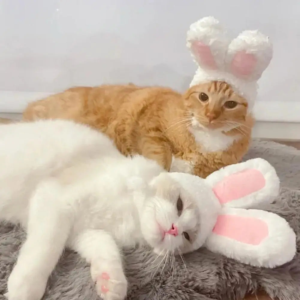 Cat Decorative Pet Products New Warm Cat Head Cover  Clothes Plush Cat Rabbit Hat Pet Ear Hat Accessories Lamb T8T4